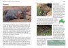 Snakes & Other Reptiles of Australia