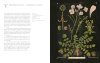 The Art of Botanical Painting