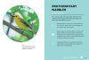 Best Little Book of Birds: Birds of the Great Lakes