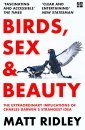 Birds, Sex & Beauty