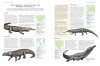 The Illustrated Encyclopedia of Dinosaurs & Prehistoric Creatures