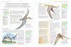 The Illustrated Encyclopedia of Dinosaurs & Prehistoric Creatures