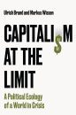 Capitalism at the Limit