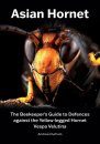 Asian Hornet