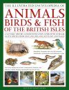 The Complete Illustrated Guide to Animals, Birds & Fish of the British Isles