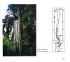 Chilean Trees / Arboles Nativos de Chile