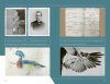 Die Vogel-WG: Die Heinroths, ihre 1000 Vögel und die Anfänge der Verhaltensforschung [The Bird Wohngemeinschaft: The Heinroths, Their 1000 Birds and the Beginnings of Behavioral Research]