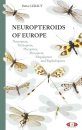 Neuropteroids of Europe