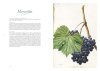 Les Raisins de Redouté: Des Aquarelles pour l'Avenir de la Vigne [Redouté's Grapes: Watercolours for the Future of the Vine]