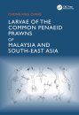Larvae of the Common Penaeid Prawns of Malaysia and South-East Asia