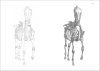 The Anatomy of the Horse