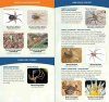 Spiders of the United States & Canada