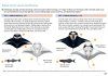 Field Guide to Manta & Devil Rays of the World