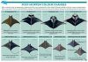 Field Guide to Manta & Devil Rays of the World