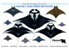 Guia de Identificación de las Mantas y Rayas Diablo del Mundo [Field Guide to Manta & Devil Rays of the World]