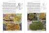 Lichens of Ireland & Great Britain: A Visual Guide to Their Identification (2-Volume Set)