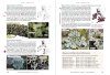 Lichens of Ireland & Great Britain: A Visual Guide to Their Identification (2-Volume Set)