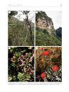 Botanical Bounty of the Pondoland Centre of Endemism