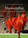A Systematic Account of Haemanthus (Amaryllidaceae: Haemantheae)