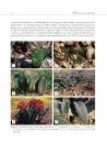 A Systematic Account of Haemanthus (Amaryllidaceae: Haemantheae)