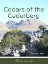Cedars of the Cederberg