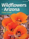 Wildflowers of Arizona