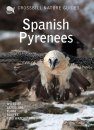 Crossbill Guide: Spanish Pyrenees