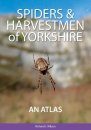 Spiders & Harvestmen of Yorkshire