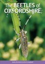 The Beetles of Oxfordshire