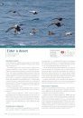 Atlas des Oiseaux Marins Nicheurs des Territoires Français d’Outre-Mer [Atlas of Breeding Seabirds of the French Overseas Territories]