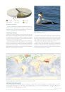 Atlas des Oiseaux Marins Nicheurs des Territoires Français d’Outre-Mer [Atlas of Breeding Seabirds of the French Overseas Territories]