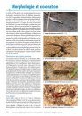 Les Larves de Plécoptères de France Métropolitaine: Identification, Biologie et Écologie [Plecoptera Larvae of Metropolitan France: Identification, Biology and Ecology]