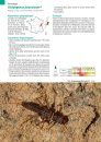 Les Larves de Plécoptères de France Métropolitaine: Identification, Biologie et Écologie [Plecoptera Larvae of Metropolitan France: Identification, Biology and Ecology]