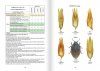 Clés d'Identification des Coléoptères Aquatiques de France Métropolitaine, Tome 2 [Keys to the Aquatic Beetles of Metropolitan France, Volume 2]