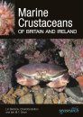 Marine Crustaceans of Britain and Ireland
