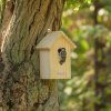 National Trust DIY 32mm Nest Box
