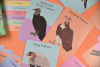Amazing Birds of Prey Fact Cards