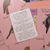 Amazing Birds of the British Isles Fact Cards