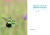 Acoustique des Sauterelles, Grillons et Courtilières de France, Belgique, Luxembourg et Suisse: Écologie et Identification [Acoustics of Grasshoppers, Crickets and Mole Crickets in France, Belgium, Luxembourg and Switzerland: Ecology and Identification]