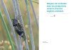 Acoustique des Sauterelles, Grillons et Courtilières de France, Belgique, Luxembourg et Suisse: Écologie et Identification [Acoustics of Grasshoppers, Crickets and Mole Crickets in France, Belgium, Luxembourg and Switzerland: Ecology and Identification]