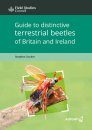 Guide to Distinctive Terrestrial Beetles of Britain and Ireland