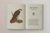 The Book of Birds