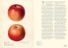 An Illustrated Catalog of American Fruits & Nuts