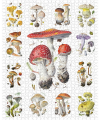 Mushrooms 1,000-Piece Jigsaw Puzzle