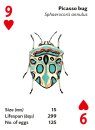 Briliant Bugs - playing cards