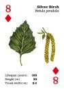 Top Trees - Playing cards