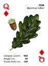 Top Trees - Playing cards