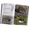 Mamíferos de Argentina, Tomo 3: Roedores [Mammals of Argentina, Volume 3: Rodents]