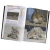 Mamíferos de Argentina, Tomo 3: Roedores [Mammals of Argentina, Volume 3: Rodents]