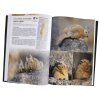 Mamíferos de Argentina, Tomo 3: Roedores [Mammals of Argentina, Volume 3: Rodents]